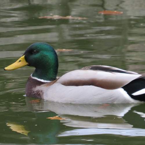 Photo #8901214