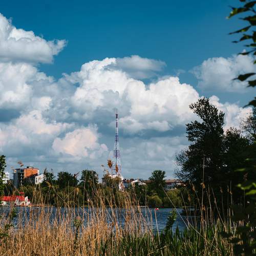 Photo #8901396