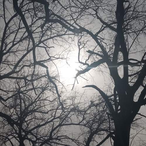 Photo #8901424