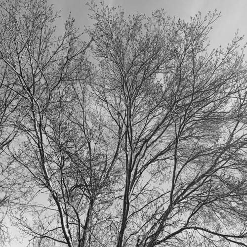 Photo #8901425
