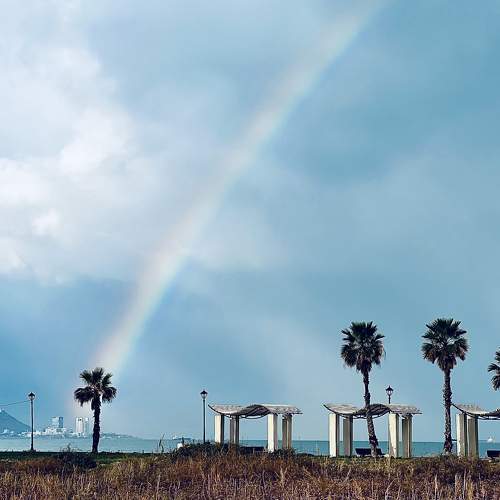 Photo #8901640
