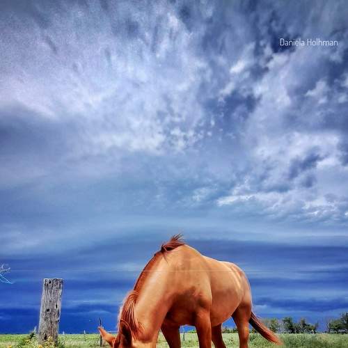 Photo #8901658