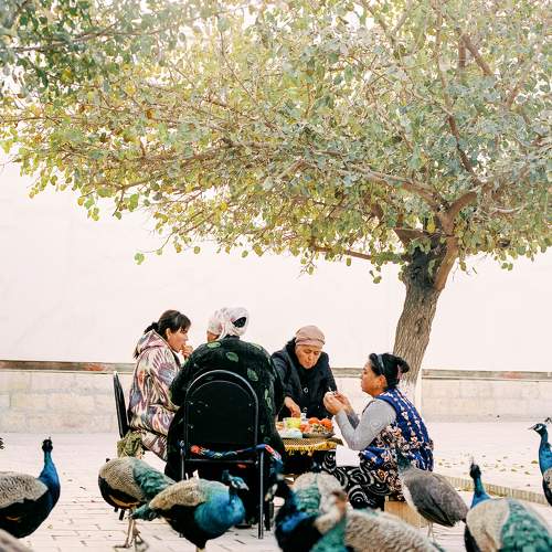 Photo #8901901