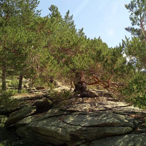 Photo #8901967