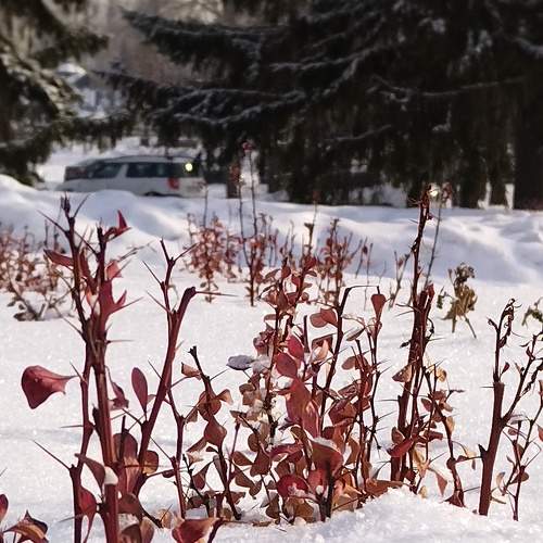 Photo #8901992