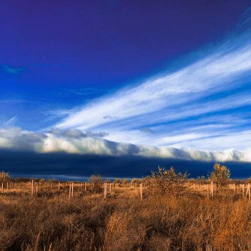 Photo #8902111