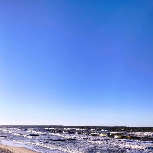 Photo #8902117