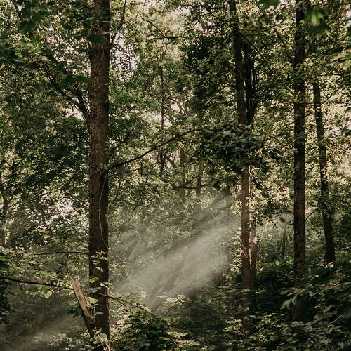 Photo #8902245