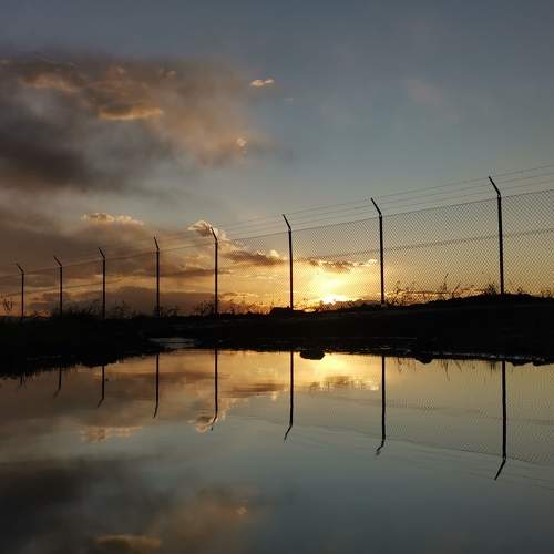 Photo #8902352