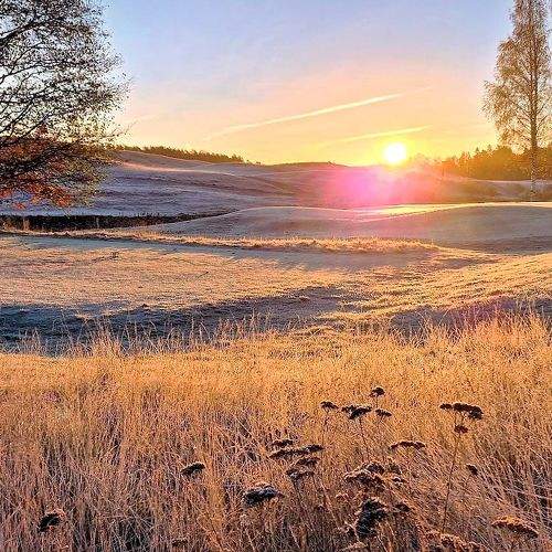 Photo #8902441