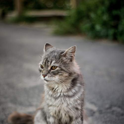 Photo #8902542