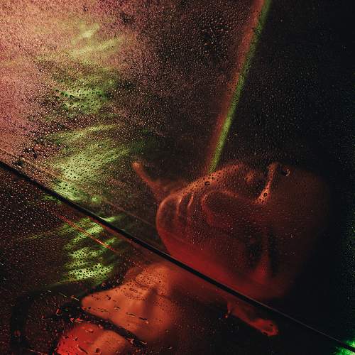 Photo #8902614