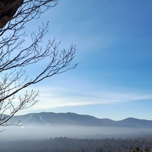 Photo #8902624
