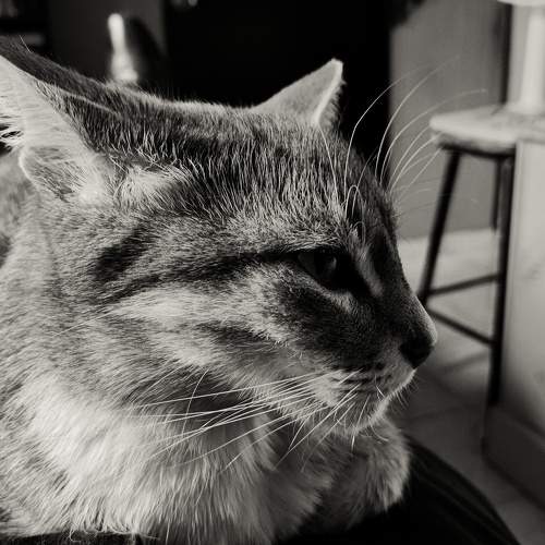 Photo #8902676