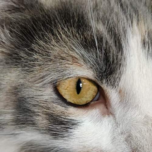 Photo #8902677