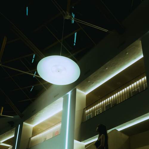 Photo #8902773