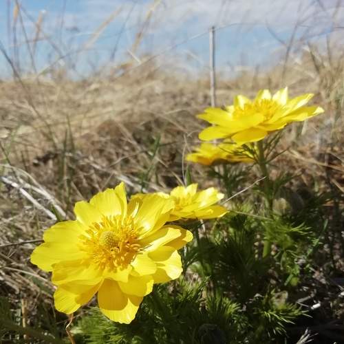 Photo #8903206