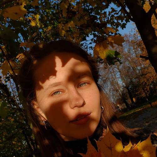 Photo #8903207