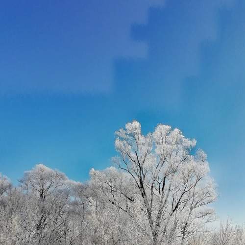 Photo #8903244