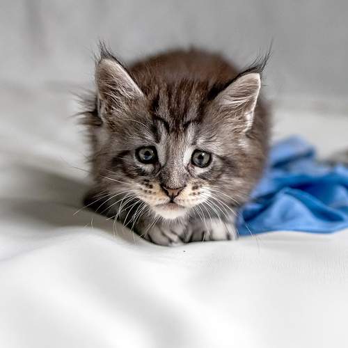 Photo #8903423