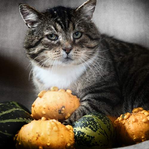Photo #8903431