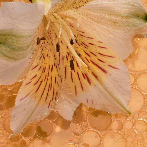 Photo #8903434