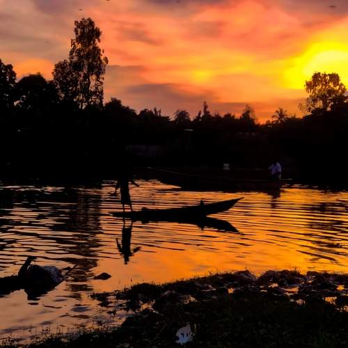 Photo #8903470