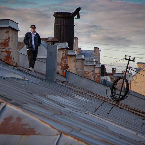Photo #8903646
