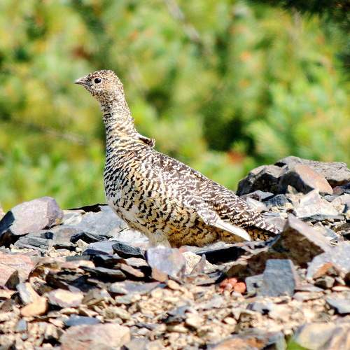 Photo #8903695