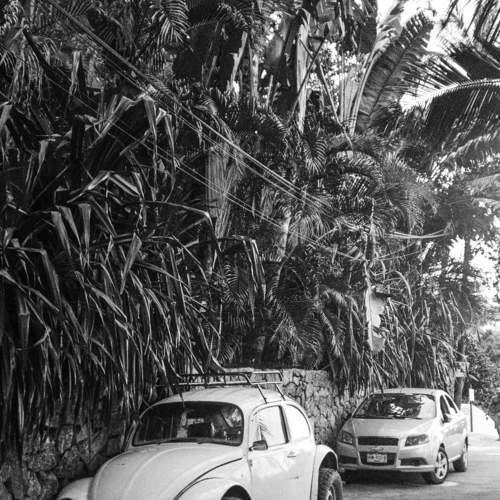 Cars of Mexico