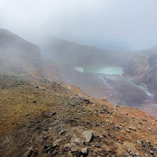 Photo #8904095