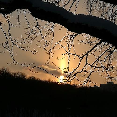 Photo #8904107
