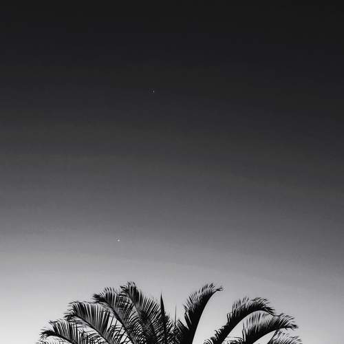 Photo #8904509