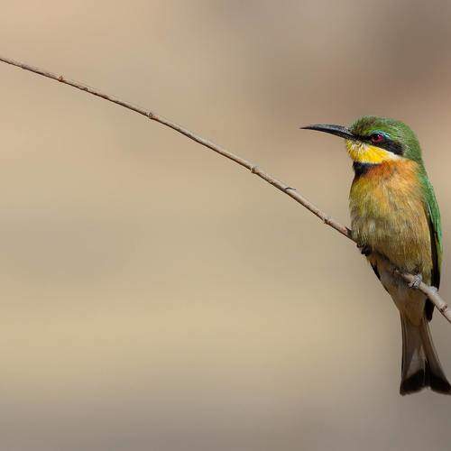 Photo #8904764