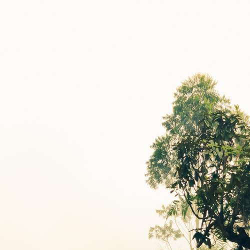 Photo #8904851
