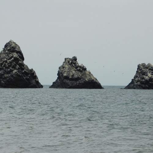 Photo #8905002