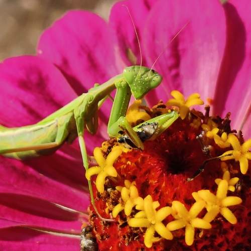 Photo #8905026