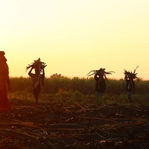 Photo #8905040