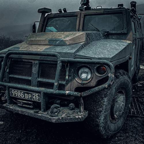 Photo #8905069