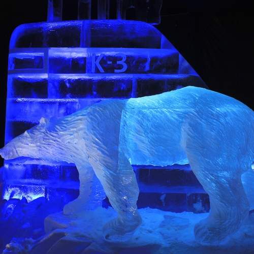 Photo #8905092
