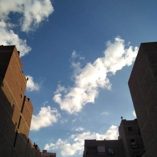 Photo #8905097