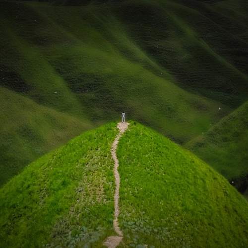 Photo #8905160