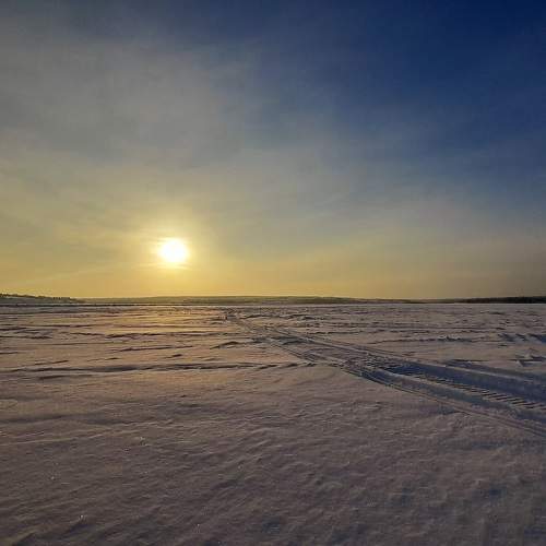 Photo #8905234