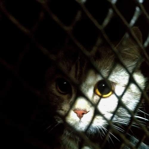 Photo #8905345