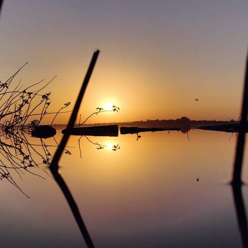 The Sun in the Water
