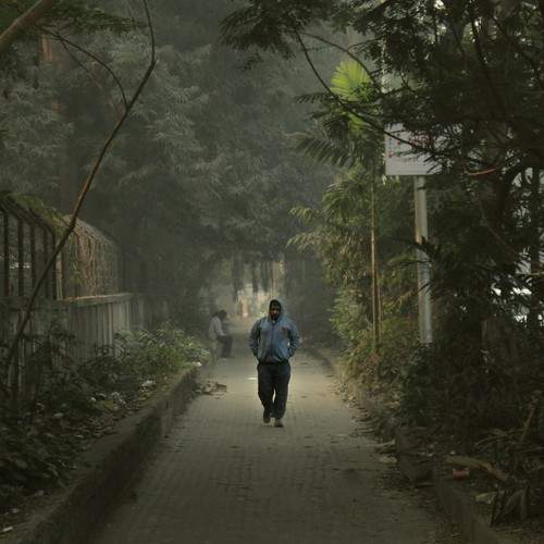 Photo #8905432