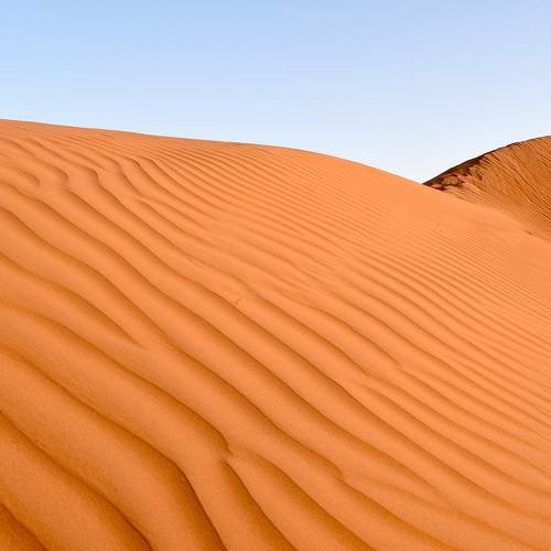 Photo #8905449
