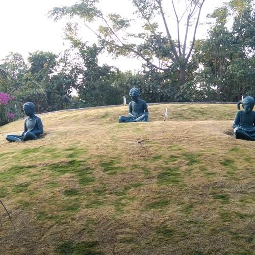 Photo #8905476
