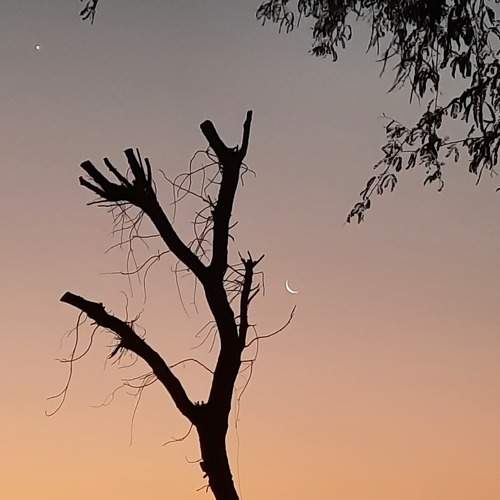 Photo #8905481