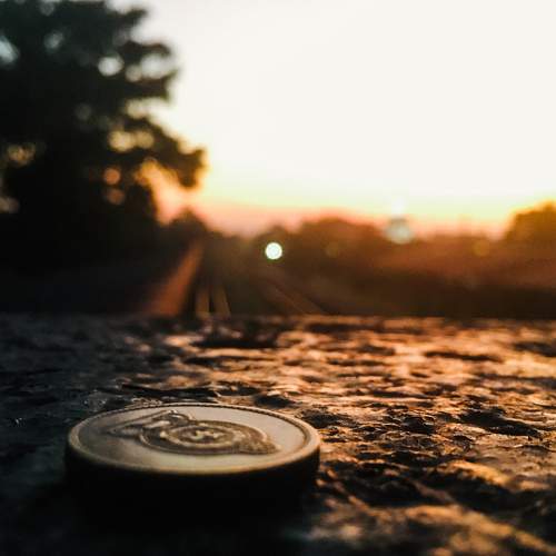Photo #8905532